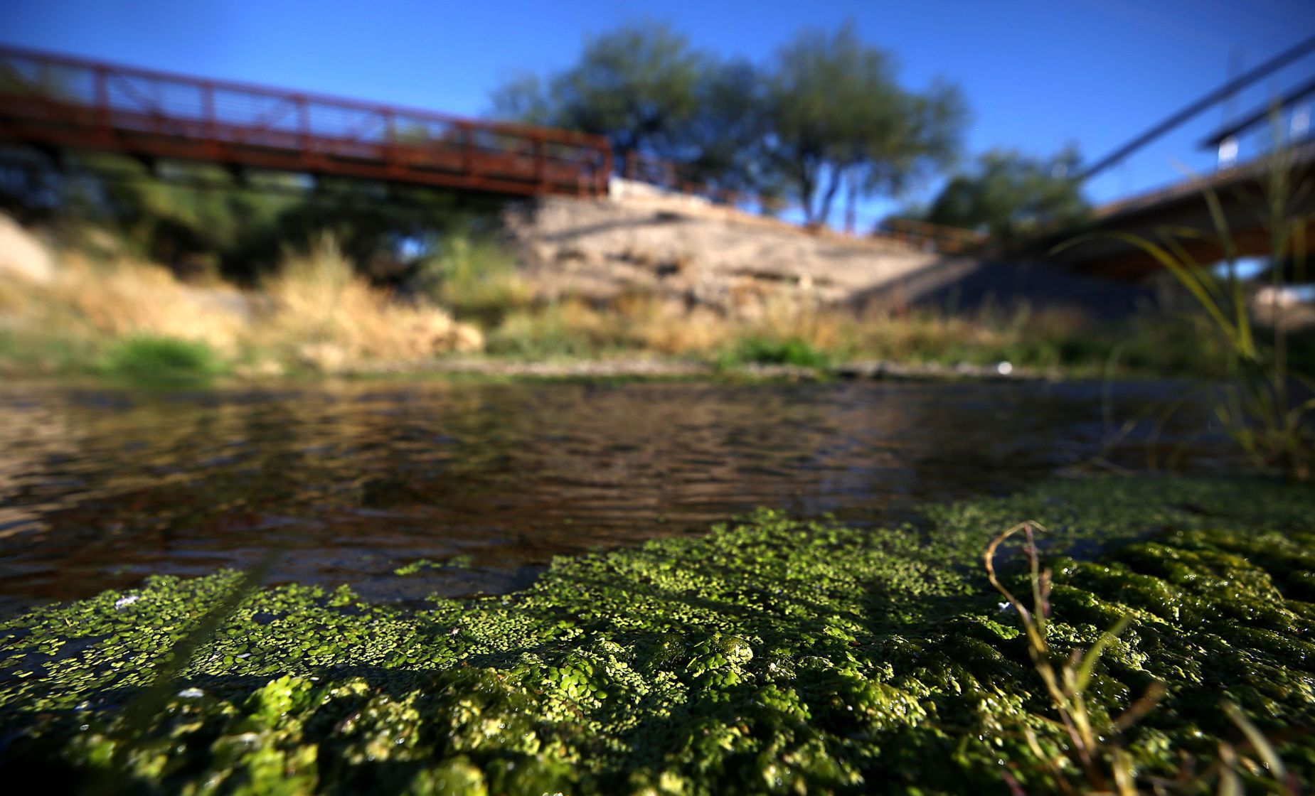 Santa Cruz River, Tucson